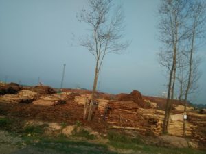 IMG-20180929-WA0026